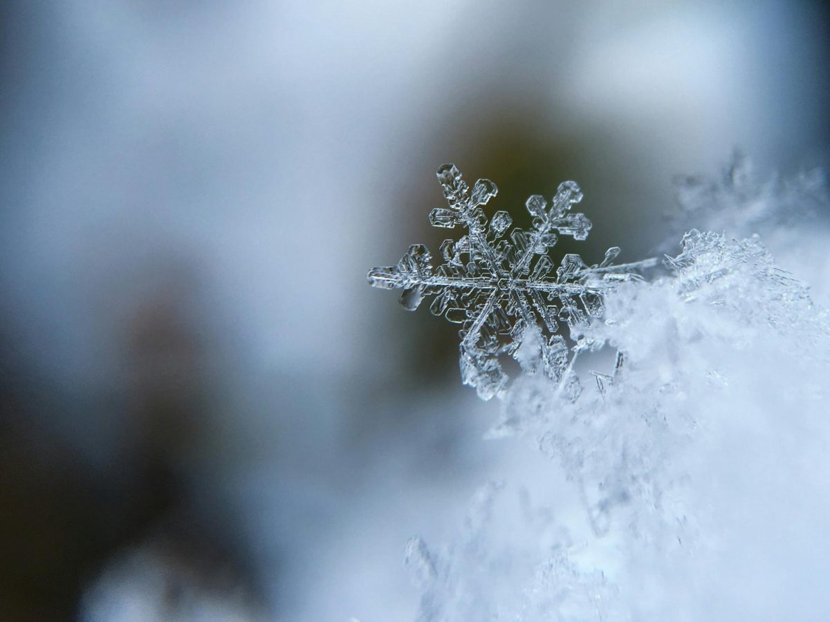 A Perfect Snow Day